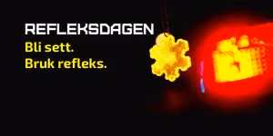 Refleksdagen