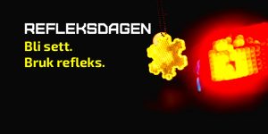 Refleksdagen